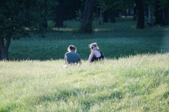 Prater meadow with chicks