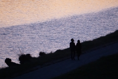 Neue Donau km 4.0 at dawn