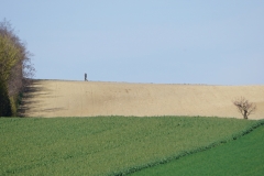 Gallbrunn landscape with man