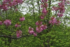 Vienna Spring Colours