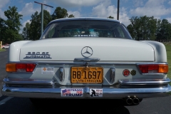Mercedes drivers and Veterans for Trump