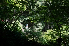 Im Ruhestand im Wienerwald ( nicht der Befugnisinhaber )