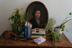 Increíble, la obra maestra de don Nicolás Gómez Dávila, encontrada en el refugio veraneo del Baron Dr. Adolf Schwarz en Millstadt