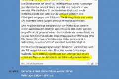 2017-12-22 wahrscheinlich wieder Einzelmohammed mit Problemen