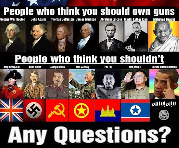 Should you own guns ?