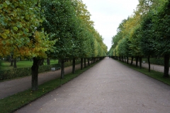 Palace Park