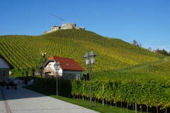 Blick auf die Ruine