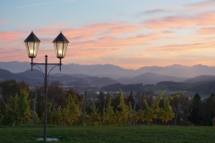 Aussicht auf St. Veit