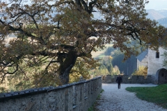 Unterwegs nach oben