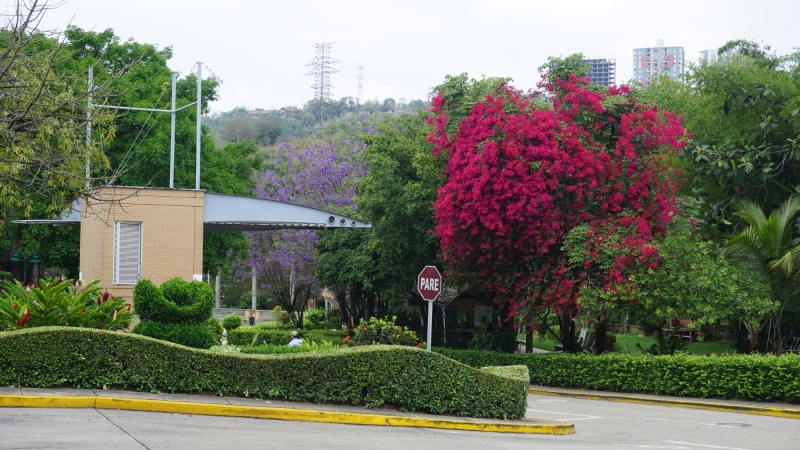 outside the bus-station of Bucaramanga