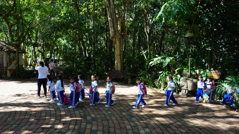 señoritas colombianas