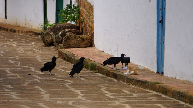 true gentlemen, waiting for their turn to drink