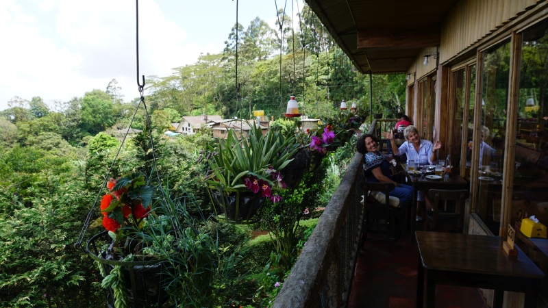 meal at a tipical restaurant