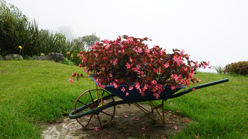 wheelbarrow, retired