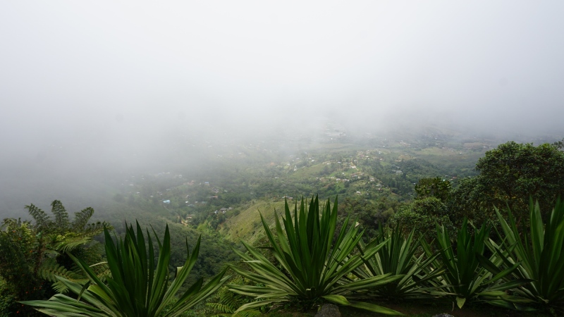 fog rising