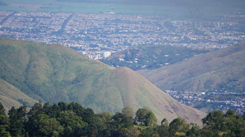 Cali with my nice new telephoto-lens