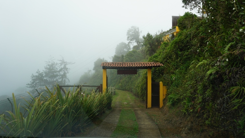 Leaving the Finca