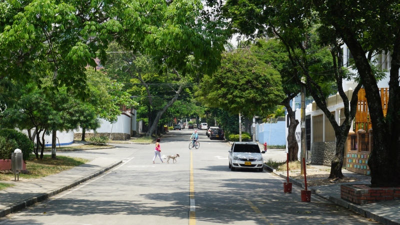 near Parque del Perro