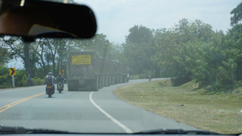 sugar cane monster-trucks