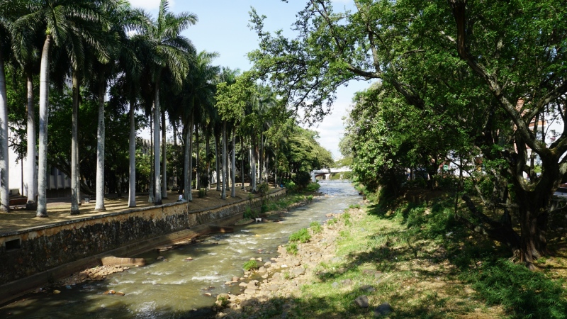 Rio Cali