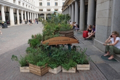 Covent Garden