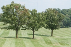 Grand view Golf Club