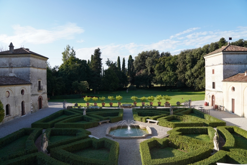 the garden, before breakfast