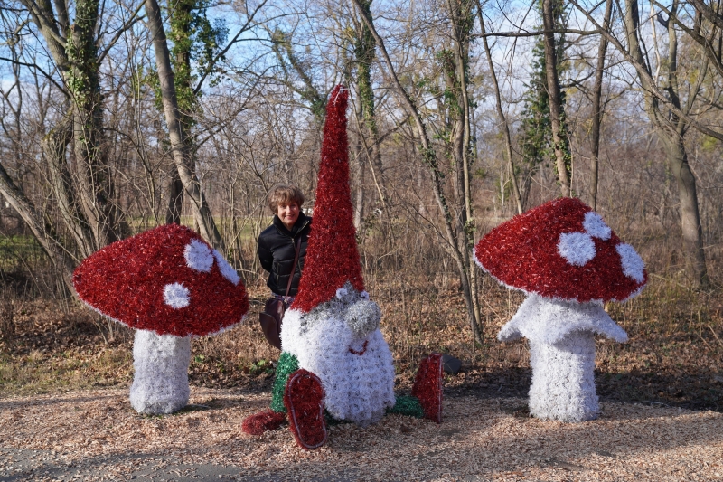 instalaciones en el parque