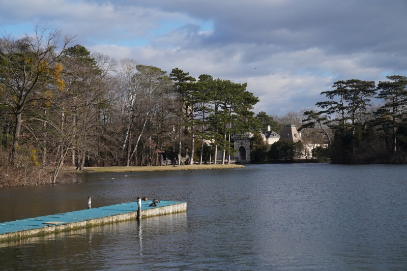 el lago con el castillo Franzensburg