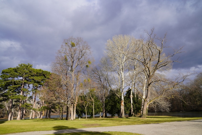 el parque detras del Franzensburg