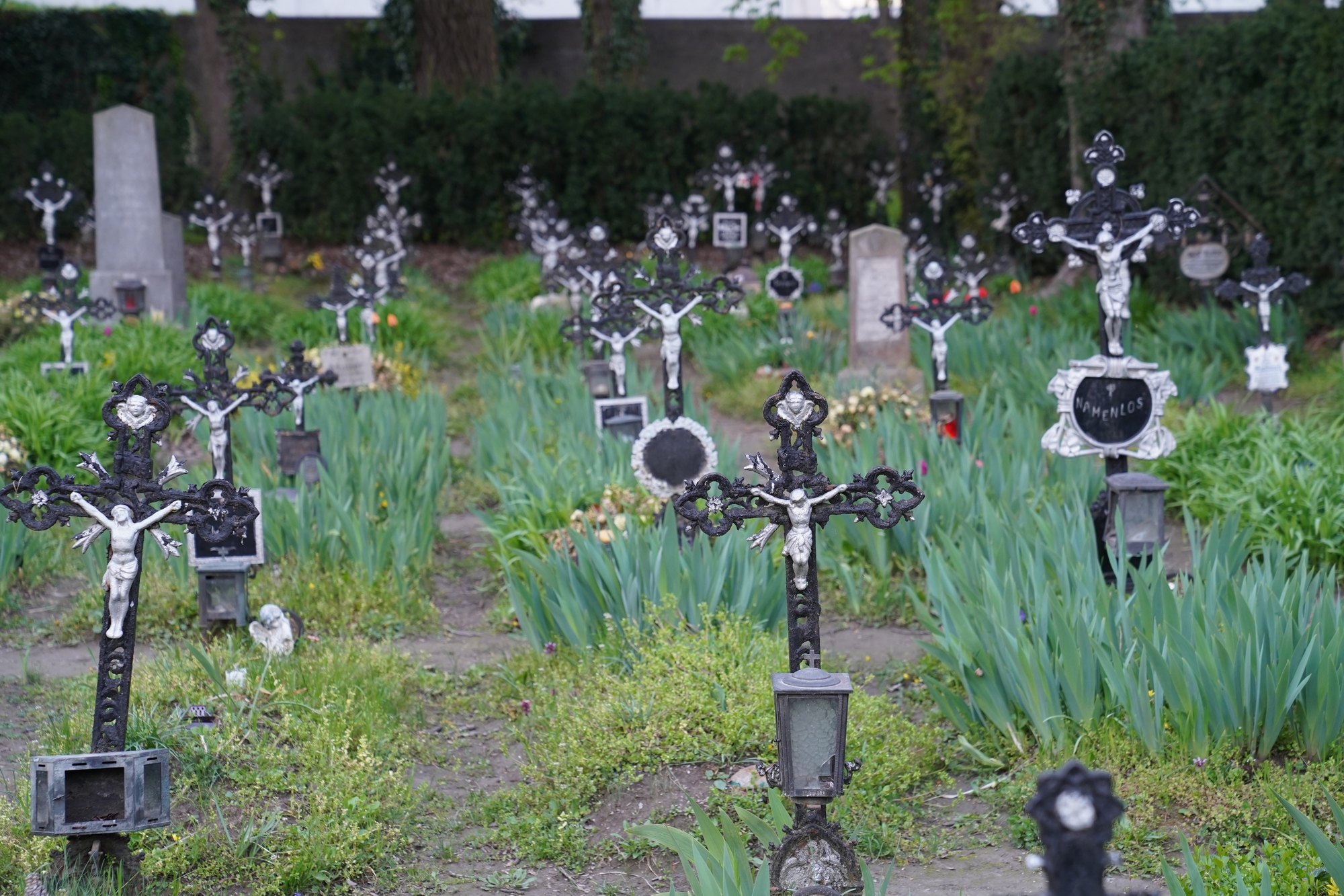 Friedhof der Namenlosen, Wien Albern