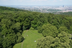 Vienna Woods
