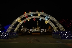 Frohe Weihnachten  im  2. Jahr der  Chinesischen Grippe