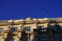 TU Hauptgebäude, Karlsplatz