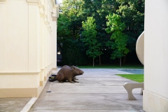 Palais Rasumovsky, 1030 . Ich hab´ sicherheitshalber gefragt, es ist doch Kunst.