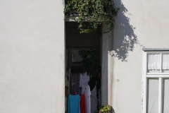 Urban Micro Jungles, 1030 Vienna