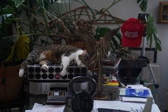Saturday 7 am in my sweatshop