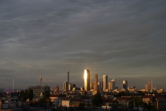 El sol de los venados sobre Viena
