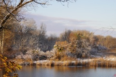 Wintereinbruch in der Lobau