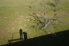 Der Befugnisinhaber bei der Arbeit ( Justizanstalt  Josefstadt, Wellness-Dépendance Tullnerbach Wilhelmshöhe)