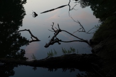Unreal real landscape