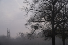 Novembermorning, Jesuitenwiese