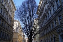 3, Hörnesgasse # Parkgasse