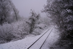 Winterlandschaft nahe Hafen Albern