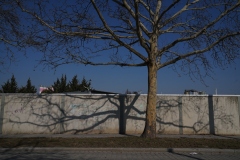 11, Wildpretstrasse