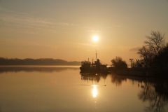 Sunrise over Blue Danube with Duck