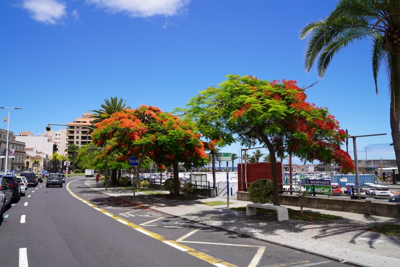 Entering Santa Cruz de la Palma