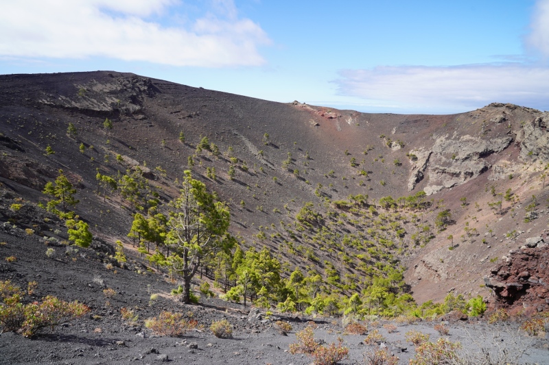 The Teneguía-crater with "new" vegetation ( Eruption 1971 )