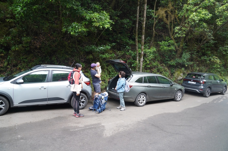 Next morning, at the Park "Bosque de El Canal de los Tilos"