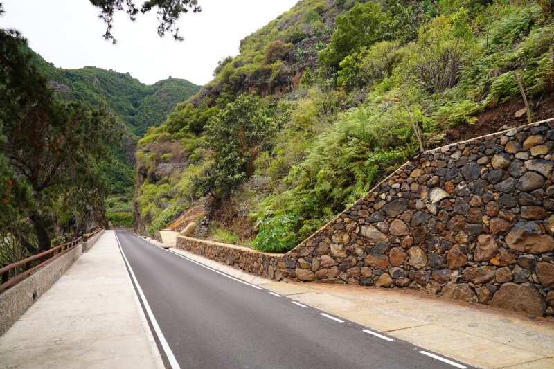 road down to San Andrés y Sauces